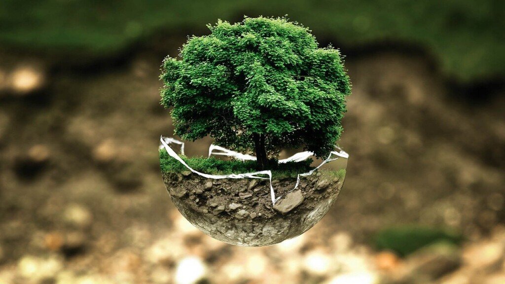 Semana Nacional do Meio Ambiente