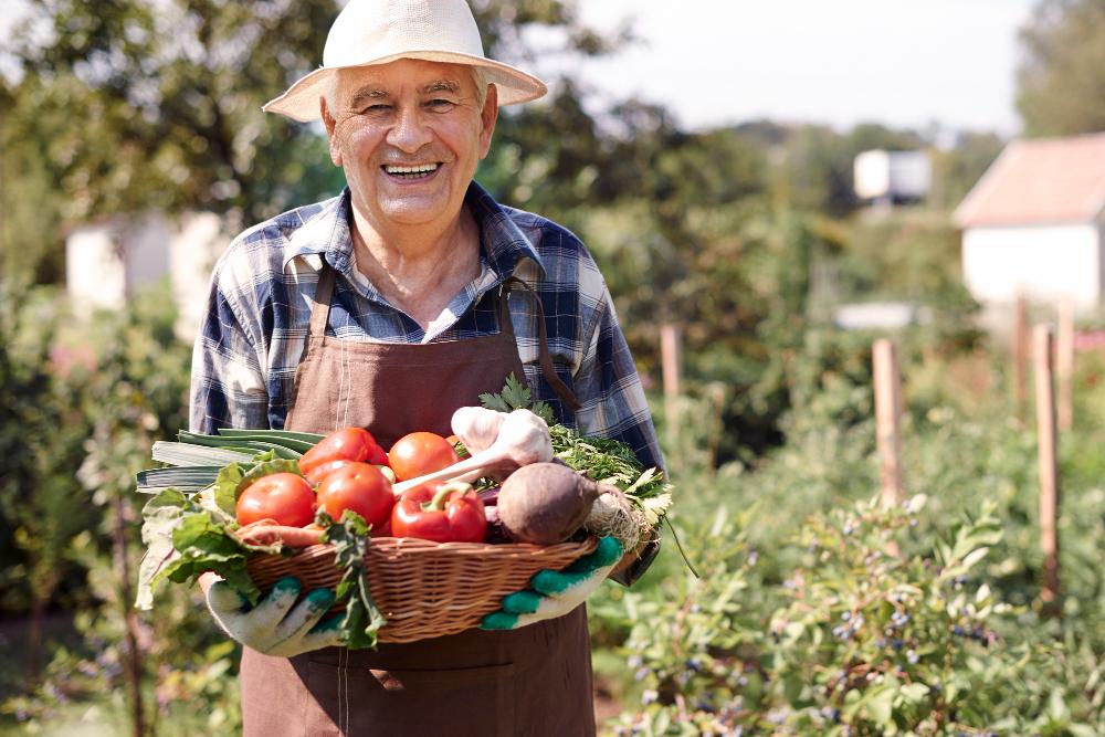 homem-vestindo-camisa-azul-xadrez-e-chapeu-de-palha-sorrindo-e-segurando-uma-cesta-de-legumes-em-uma-plantaca