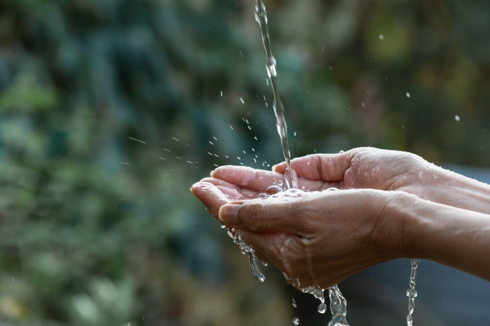 Duas mãos em posição de concha segurando água caindo de correnteza correnteza em fundo verde natural desfocado